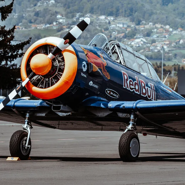 20_north_american_t-6_the_flying_bulls.jpg