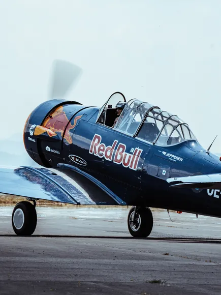 21_north_american_t-6_the_flying_bulls.jpg